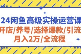 2024闲鱼高级实操运营全教程 涵盖开店养号选品引流全流程