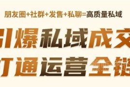私域高成交私聊转化方法 从用户识别到成交全链路运营教程