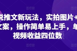 2024小说推文实拍图配文案新玩法教程 操作简单单条收益可达四位数
