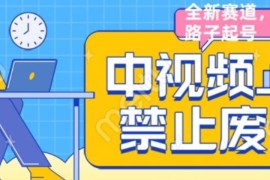 中视频禁止废话系列视频制作教程 全新蓝海起号玩法全解析