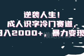 成人识字冷门变现赛道解析 低门槛副业运营实操及收益说明