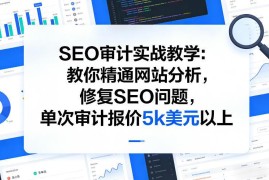 SEO审计实战系统教学 精通网站诊断修复 支撑单次5千美元报价