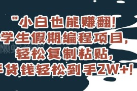 适合学生假期操作的低门槛编程副业 简单上手可赚2W+年货钱