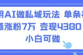 AI私域实操玩法详解：单条视频涨粉7万变现4300 小白可上手