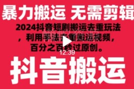 2024最新抖音短剧搬运去重技巧 无和谐操作可快速通过原创审核