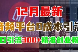 2024年12月喜马拉雅音频平台0成本引流 日引300+精准创业粉