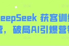 DeepSeek获客训练营全套教程 掌握AI赋能营销获客实用技巧