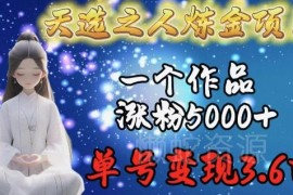 天选之人炼金项目玩法拆解 单号变现3.6w副业实操全攻略