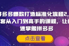 2024拼多多爆款打造标准化课程 从入门到精通全流程运营教学