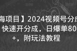 2024视频号分成计划开通方法 实操玩法及真实收益案例参考