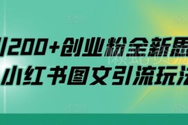 小红书图文引流创业粉实操教程 日引200+精准客源全流程详解