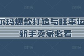 跨境沃尔玛新手卖家爆款打造指南 旺季运营实操技巧全攻略