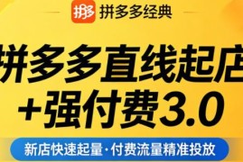 2026年4月更新拼多多强付费3.0玩法 教你稳起店控投产破流量瓶颈