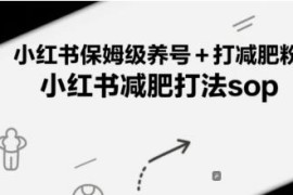 小红书减肥账号养号引流全流程 保姆级实操打法SOP指南