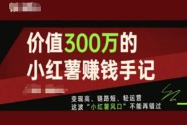 小红书运营变现实操手记 轻运营短链路高收益赚钱方法全解