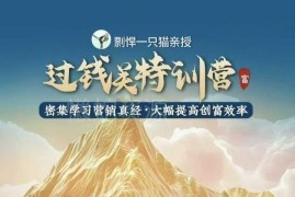 剽悍一只猫过钱关特训营课程 学营销方法提升创富效率