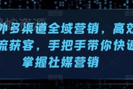 海外社媒全域营销实操教程 多渠道引流获客技巧手把手教学