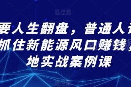 普通人如何抓住新能源风口赚钱 落地实战案例课全解析