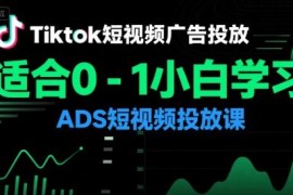 0-1小白入门TikTok ADS短视频投放课 适配美区东南亚市场