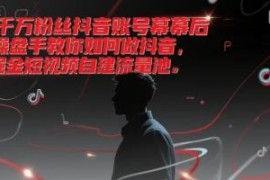 千万粉丝抖音操盘手亲授 短视频运营及自建流量池实操指南