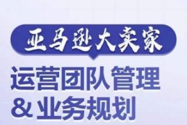 亚马逊大卖家运营团队搭建管理及业务规划实操指南