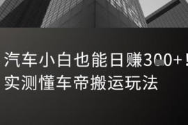 汽车小白可操作的懂车帝搬运玩法 实测新手每日可获稳定收益