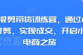 小红书混剪带货训练营教程 搬运混剪运营开店变现全指南