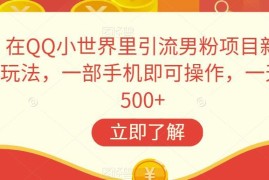 QQ小世界男粉引流最新玩法 单人手机操作日入500项目拆解