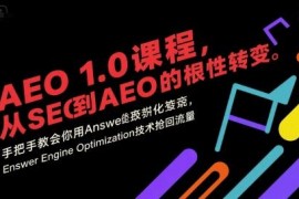 AEO1.0实操课程 传统SEO向答案引擎优化转型流量获取教程