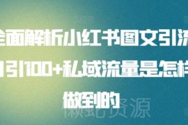 小红书图文引流玩法全解析 日引100+精准私域流量实操攻略