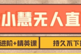 张小慧抖音无人直播精英课 基础进阶全阶教学助力稳定开播