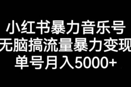 小红书音乐号实操运营全教程 流量获取及变现方法详细解析