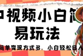 适合小白的中视频简易玩法 操作简单多变现路径新手易上手