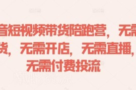 2024抖音短视频带货陪跑营 无需囤货直播零门槛赚佣金教程
