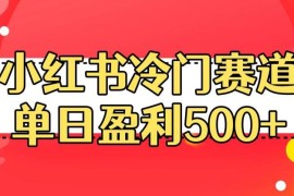 小红书冷门盈利赛道实操指南 普通人可落地单日盈利500+教程