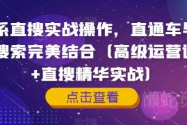 淘系直搜实战运营课程 直通车与手淘搜索结合实操指南