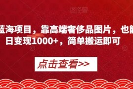 冷门蓝海奢侈品图片搬运项目 低门槛操作单日可变现1000+