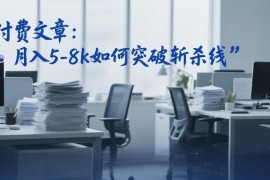 付费文章：月入5-8k如何突破收入斩杀线 实用方法分享