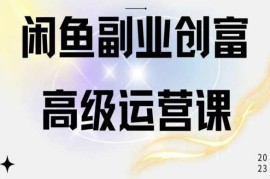 闲鱼电商运营高级课程 一部手机学会闲鱼开店全流程赚钱技巧