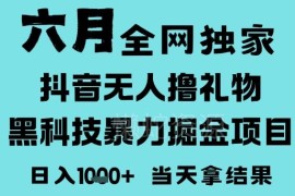 2025年6月抖音无人直播撸音浪项目 低门槛小白可做可矩阵放大