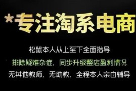 松鼠会电商VIP淘宝运营课程 从基础到高阶提升店铺流量与转化