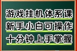 CSGO饰品挂机捡漏项目全流程 新手零门槛快速上手教程