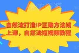 自然流打造个人IP线上课 短视频运营从入门到变现全流程教程