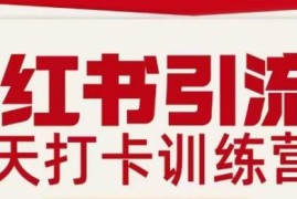 小红书引流21天打卡训练营第二期 掌握私域引流全流程实操方法