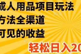 成人用品创业项目全渠道玩法解析 低门槛上手盈利实操教程