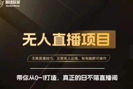 快手无人直播带货实操教程 零基础从0到1打造日不落直播间