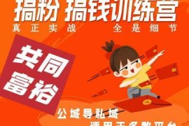 私域引流加粉变现实战课 公域转私域全流程实操细节教学