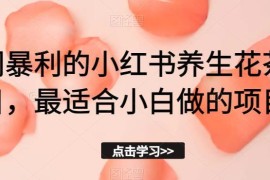 小红书养生花茶冷门盈利项目拆解 新手低门槛实操赚钱指南