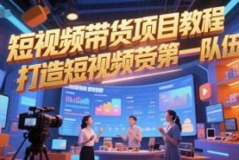 短视频带货全流程实操教程 多平台运营及团队搭建指南
