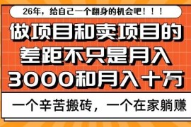 卖项目可轻松月入10万做项目难盈利 核心原因深度解析